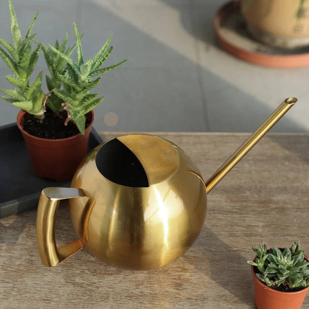 Minimalist Plant Watering Can: Silver