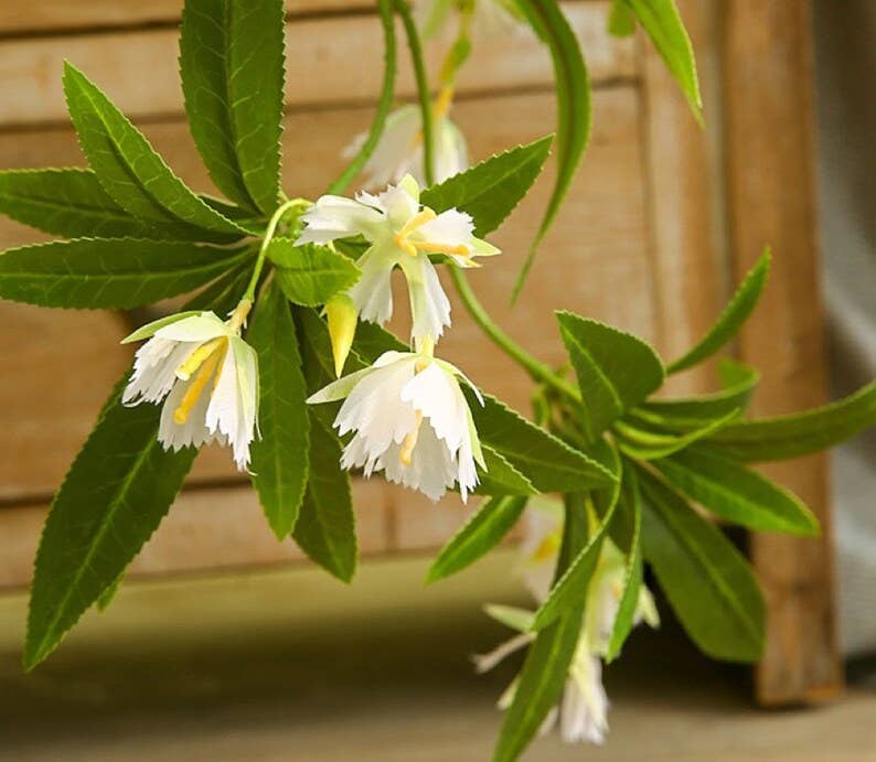 37" Hainan Elaeocarpus Artificial Faux Flower