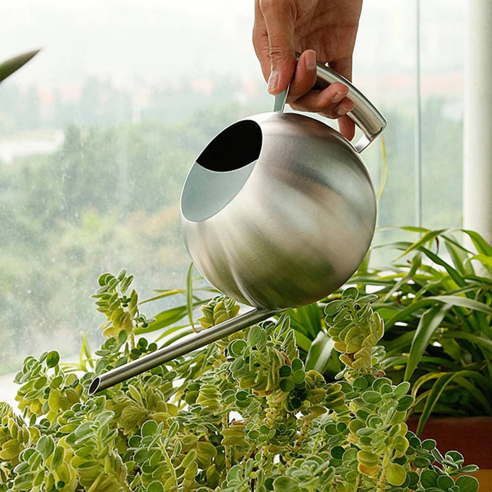 Minimalist Plant Watering Can: Silver