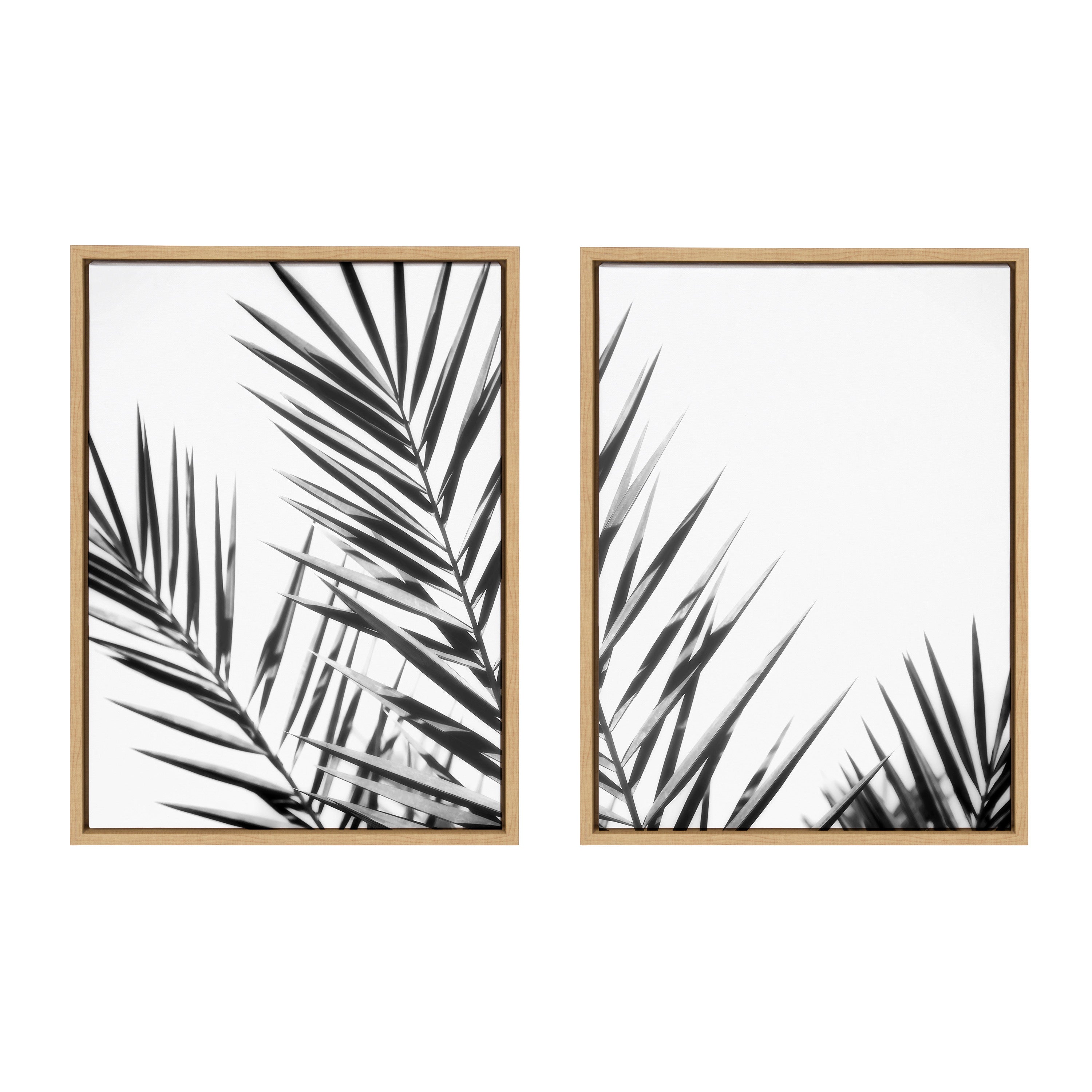 Sylvie Palm I and II BW Framed Canvas by Amy Lighthall