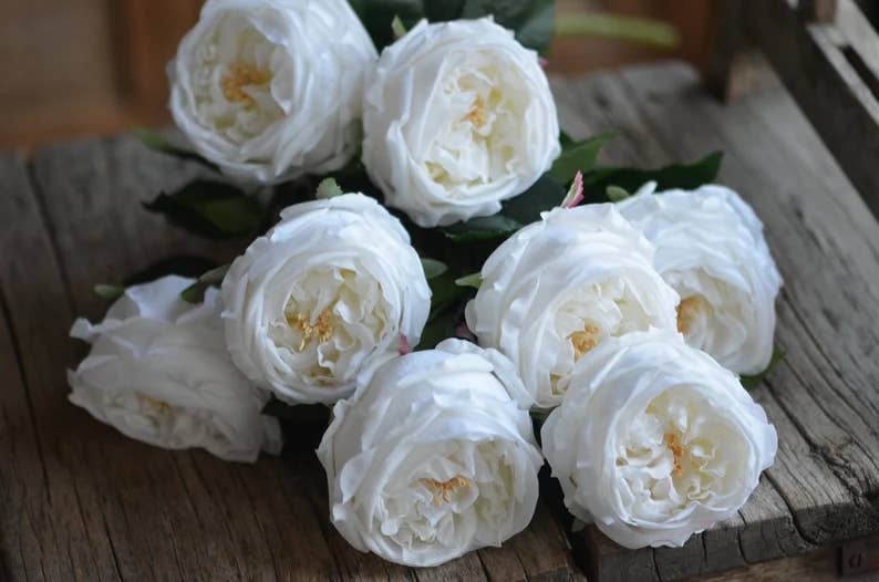 17"Premium Real touch English Austin Cabbage Rose Stem: Pure White
