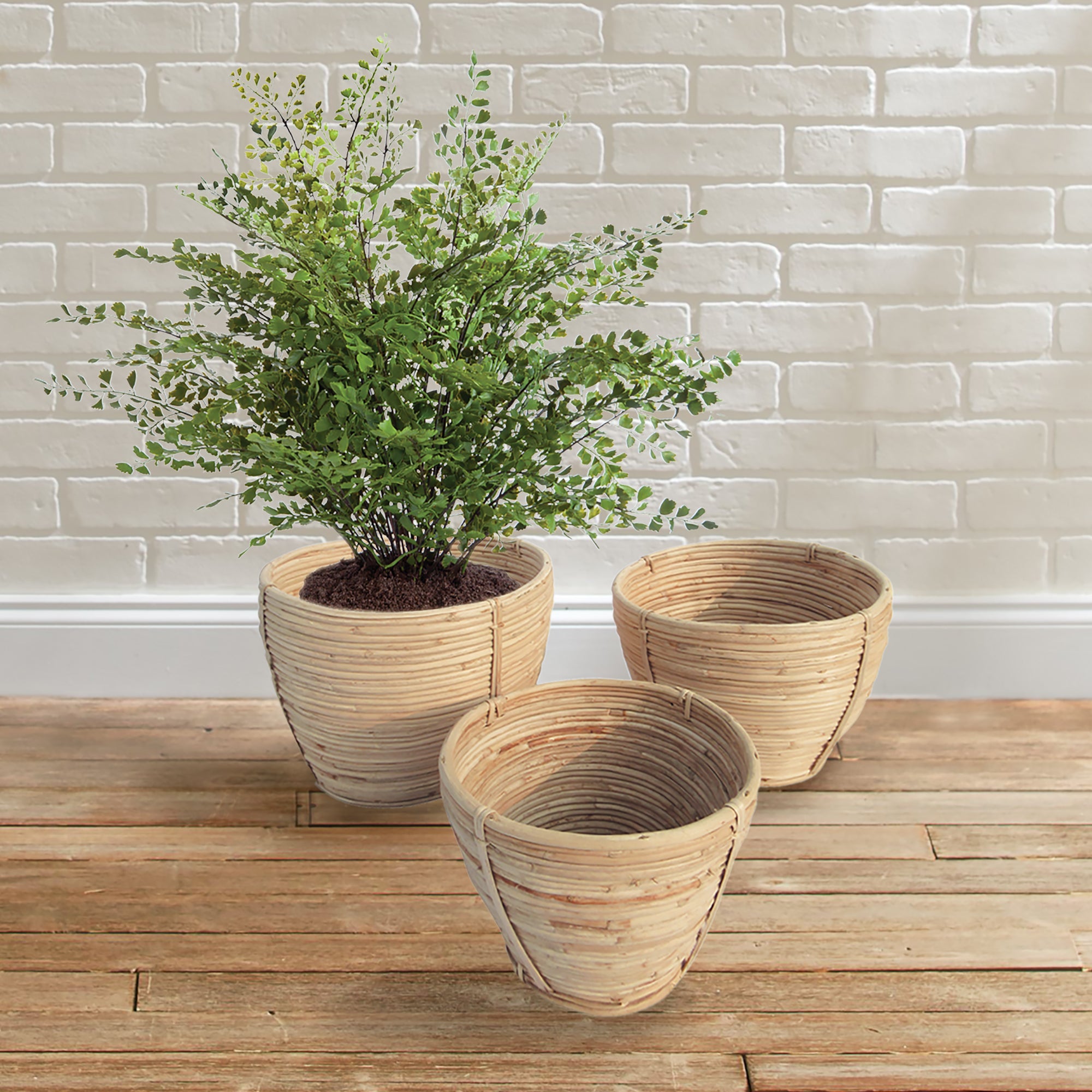 CANE RATTAN ROUND TAPERED BASKETS, SET OF 3