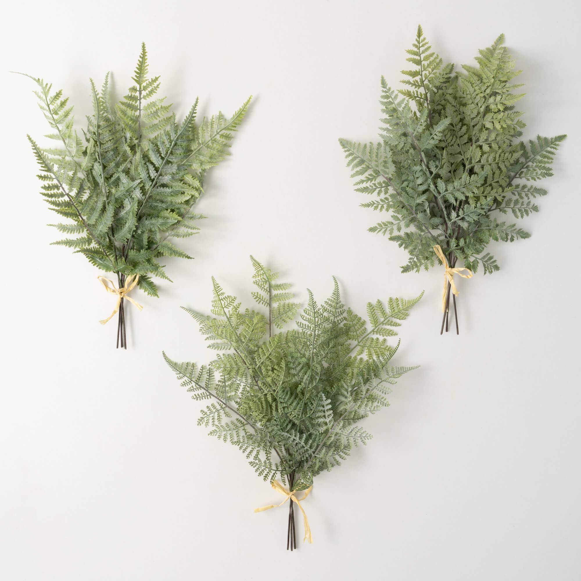 Green Fern Bush