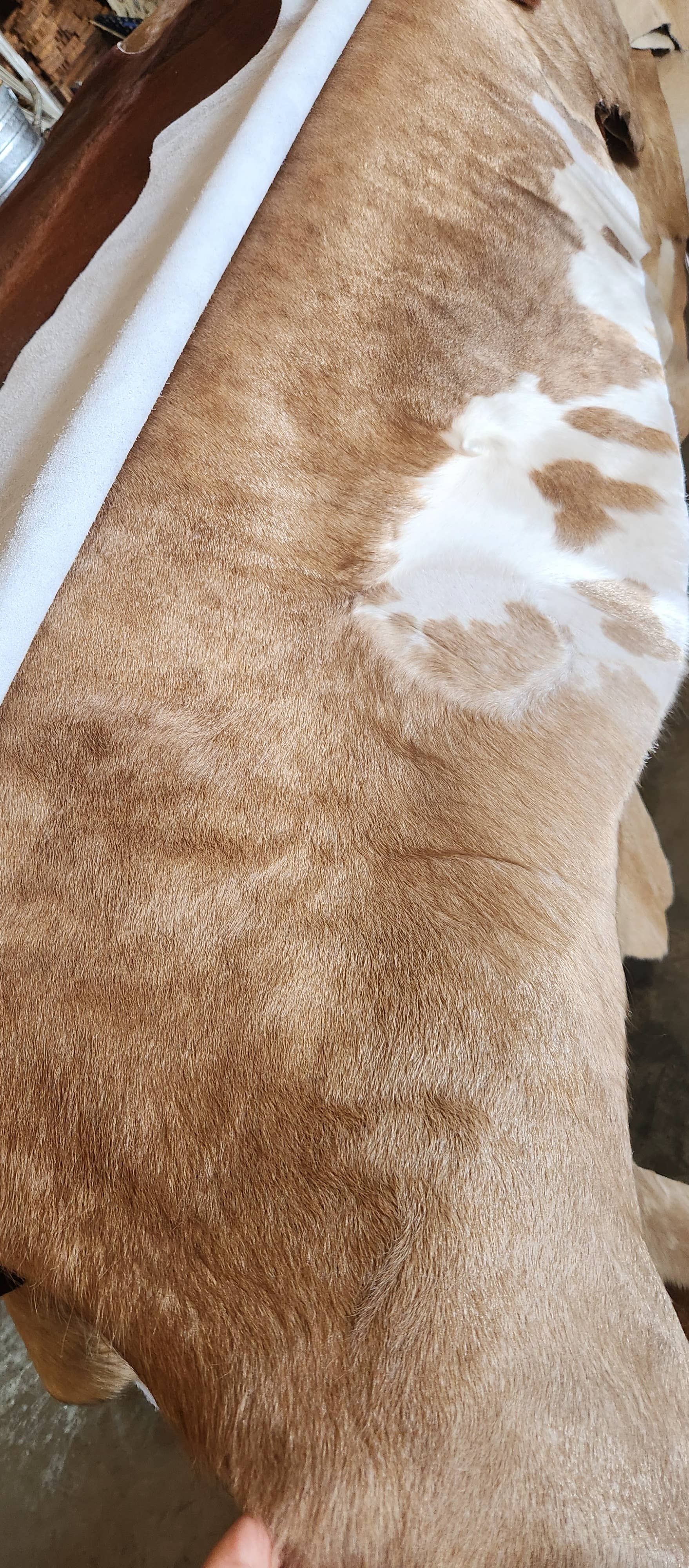 Assorted color cowhides