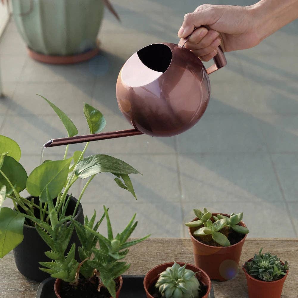 Minimalist Plant Watering Can: Silver