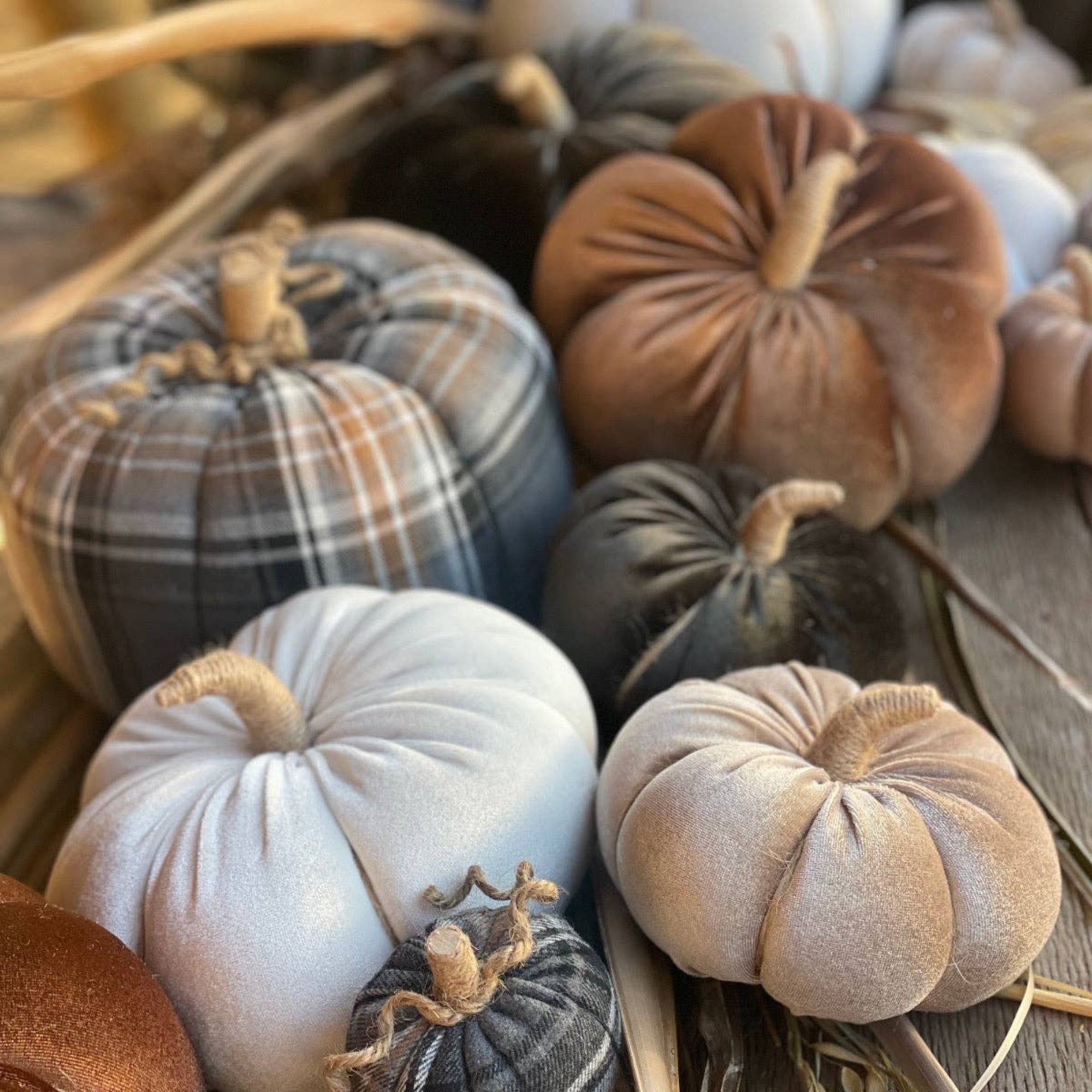 CF-3152 - XL BWT Plaid Fall Fabric Pumpkin