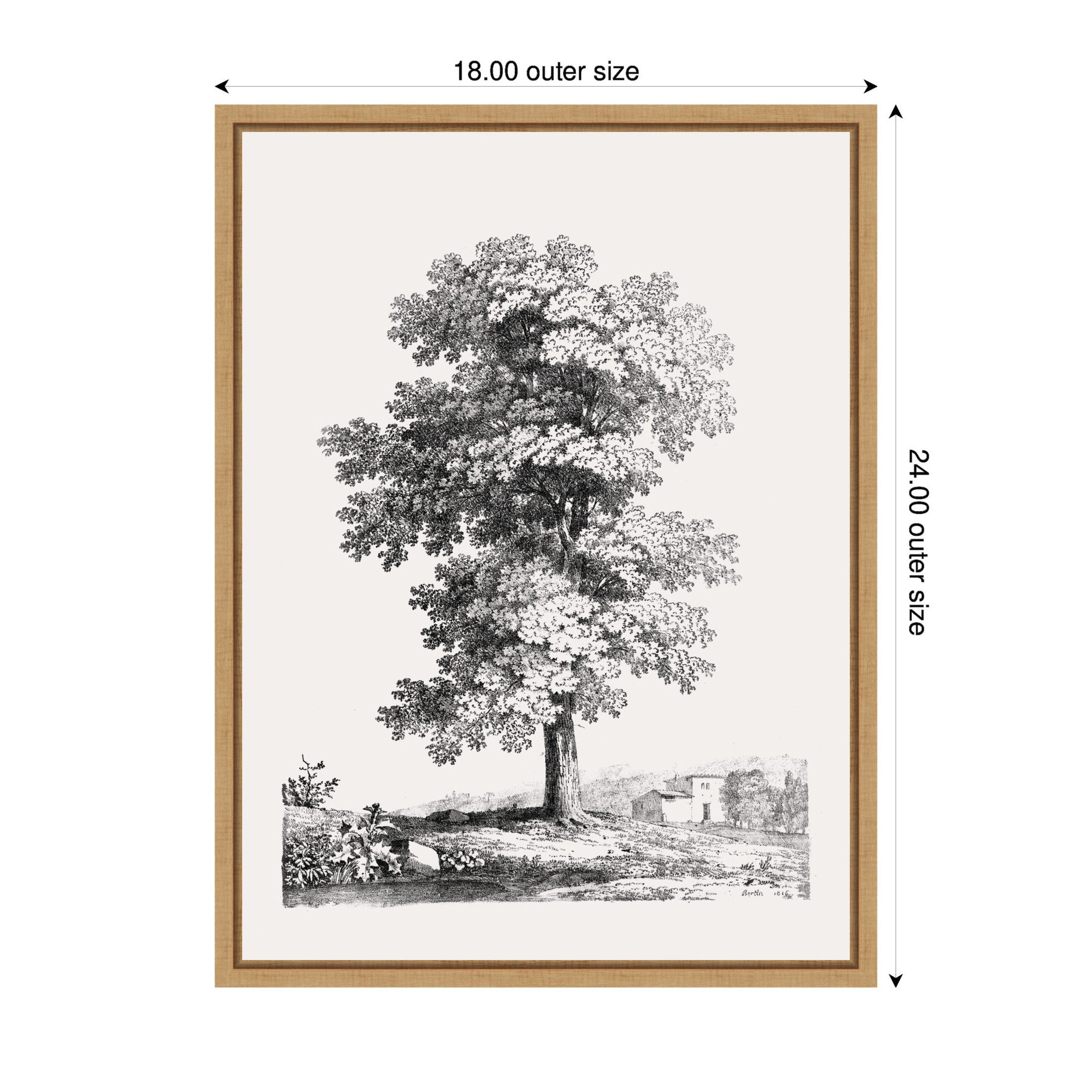 Sylvie Jean Victor Bertin Study of a Tree 1816 Framed Canvas by The Art Institute of Chicago