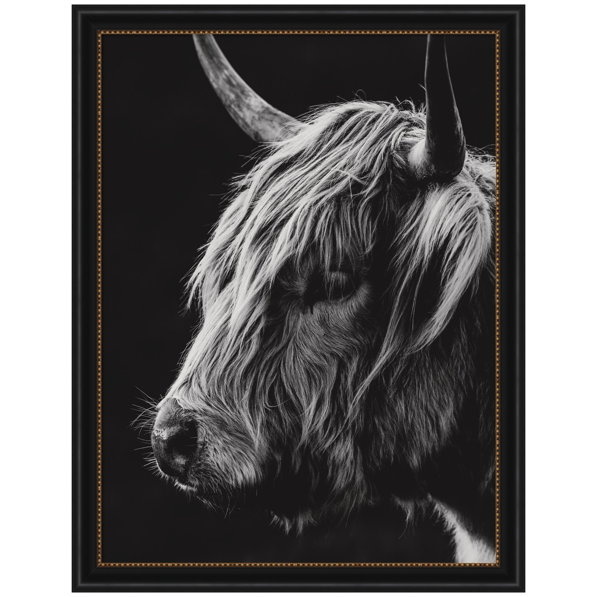 Scottish Highland Vertical by Crystal Lynn Collins Framed Wall Art Print