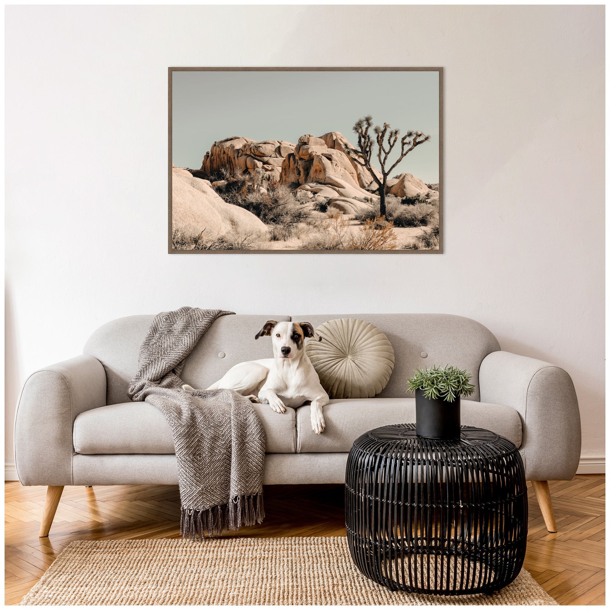 Joshua Tree No. 3 by Alicia Bock Framed Canvas Wall Art Print