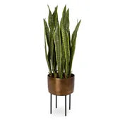 Fasita Planter