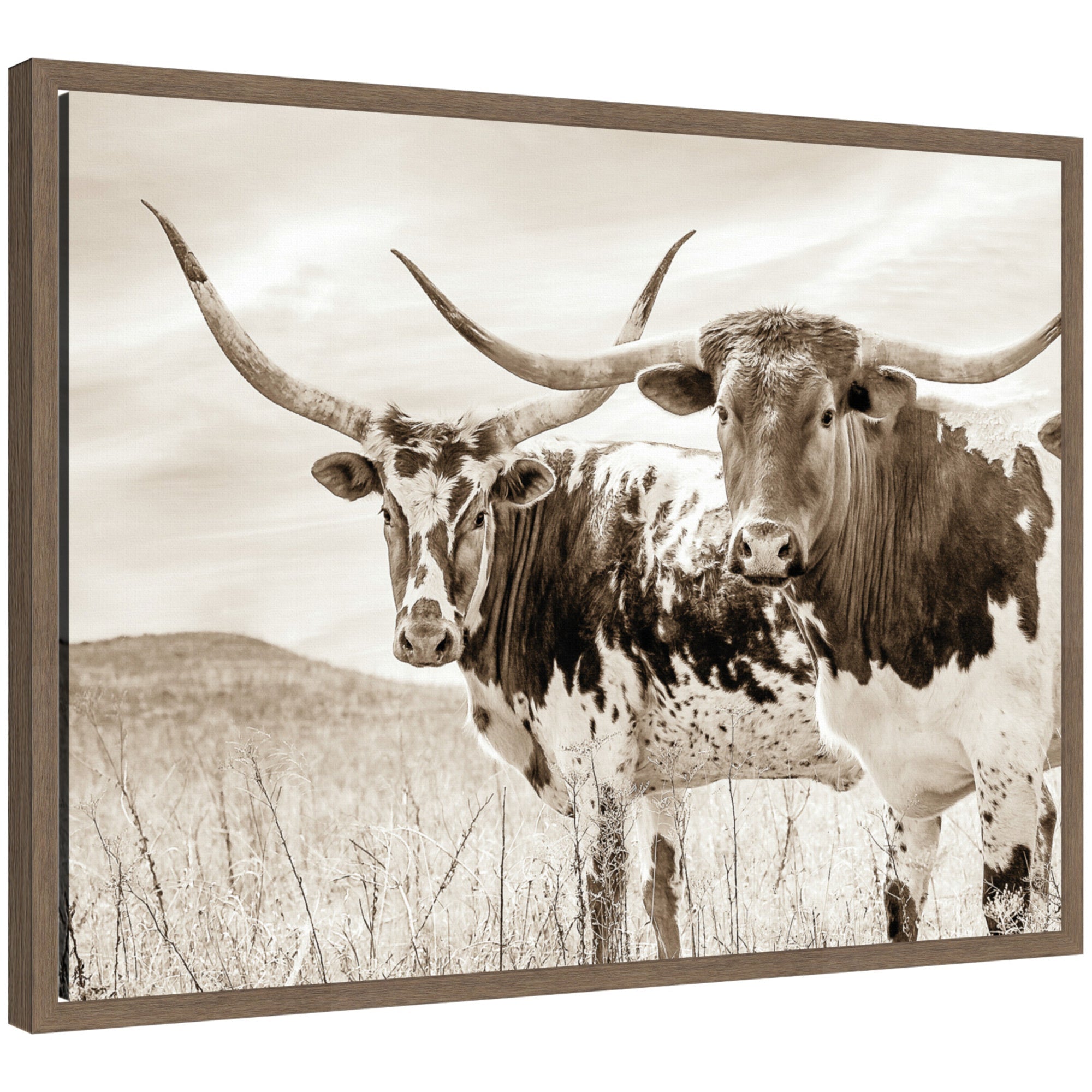 Sepia Texas Longhorn Cattle in Pasture by The Creative Bunch Studio Framed Canvas Wall Art Print