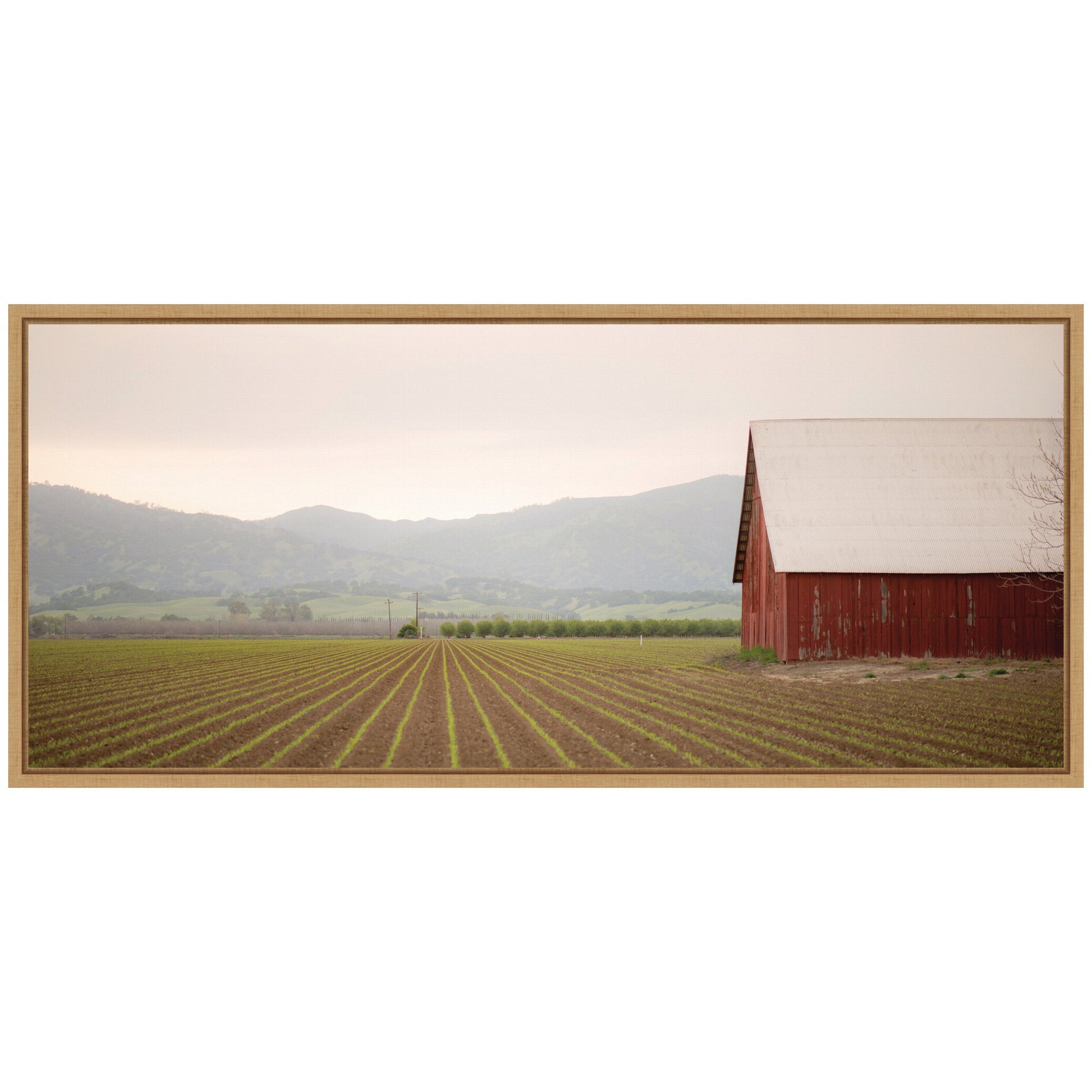 Sylvie Farm Life Framed Canvas by Crystal Lynn Collins