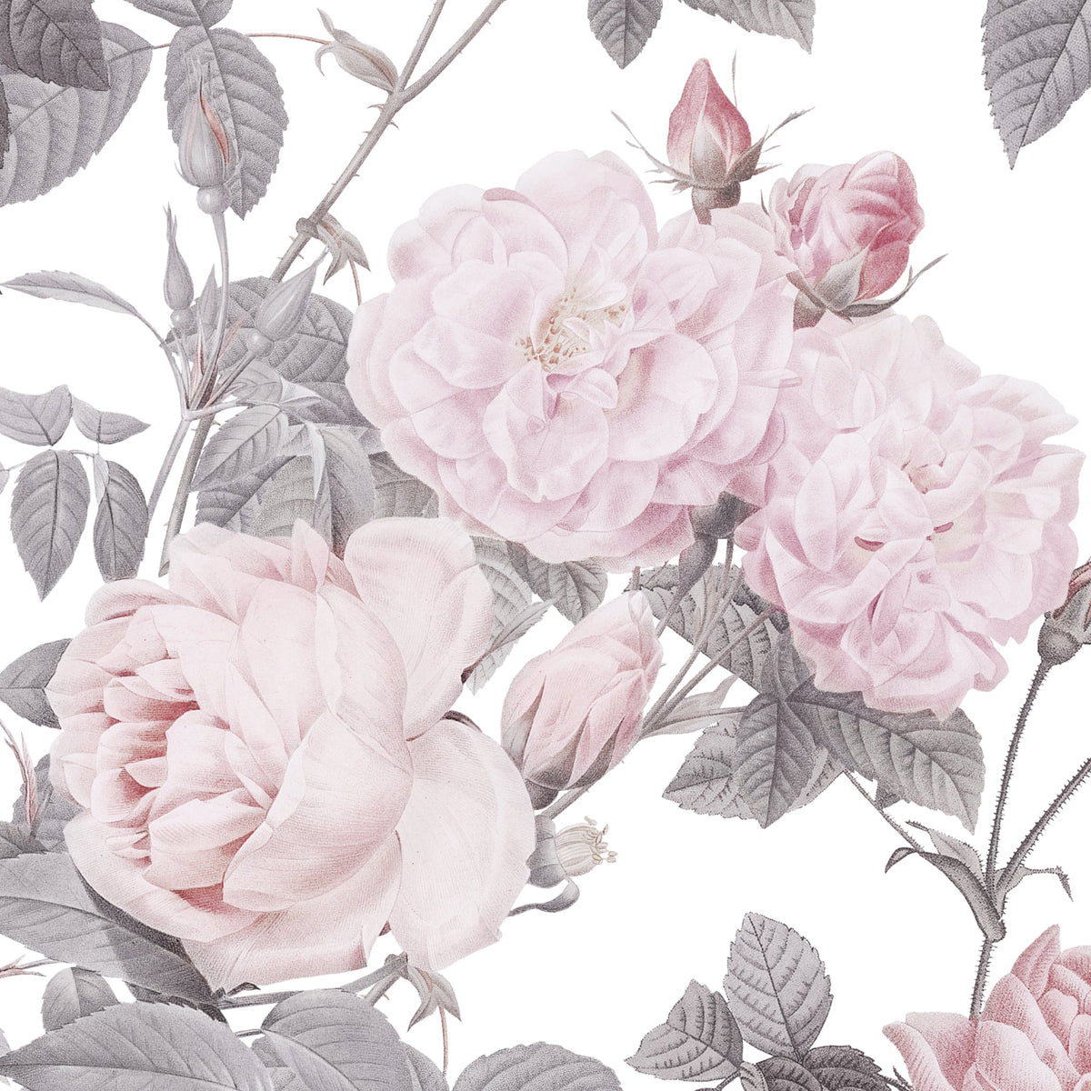 Secret Garden (White) Wallpaper