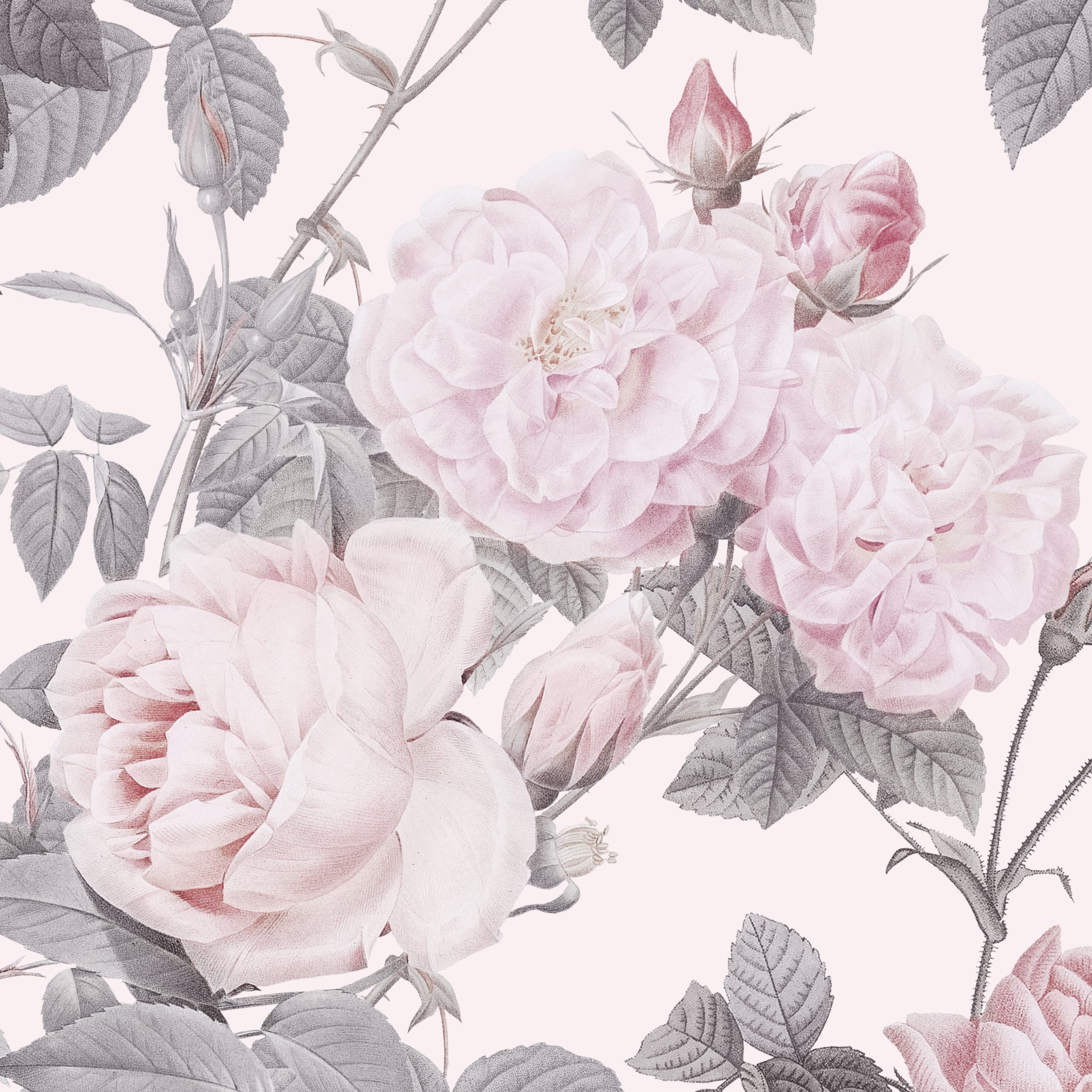 Secret Garden (Pink) Wallpaper