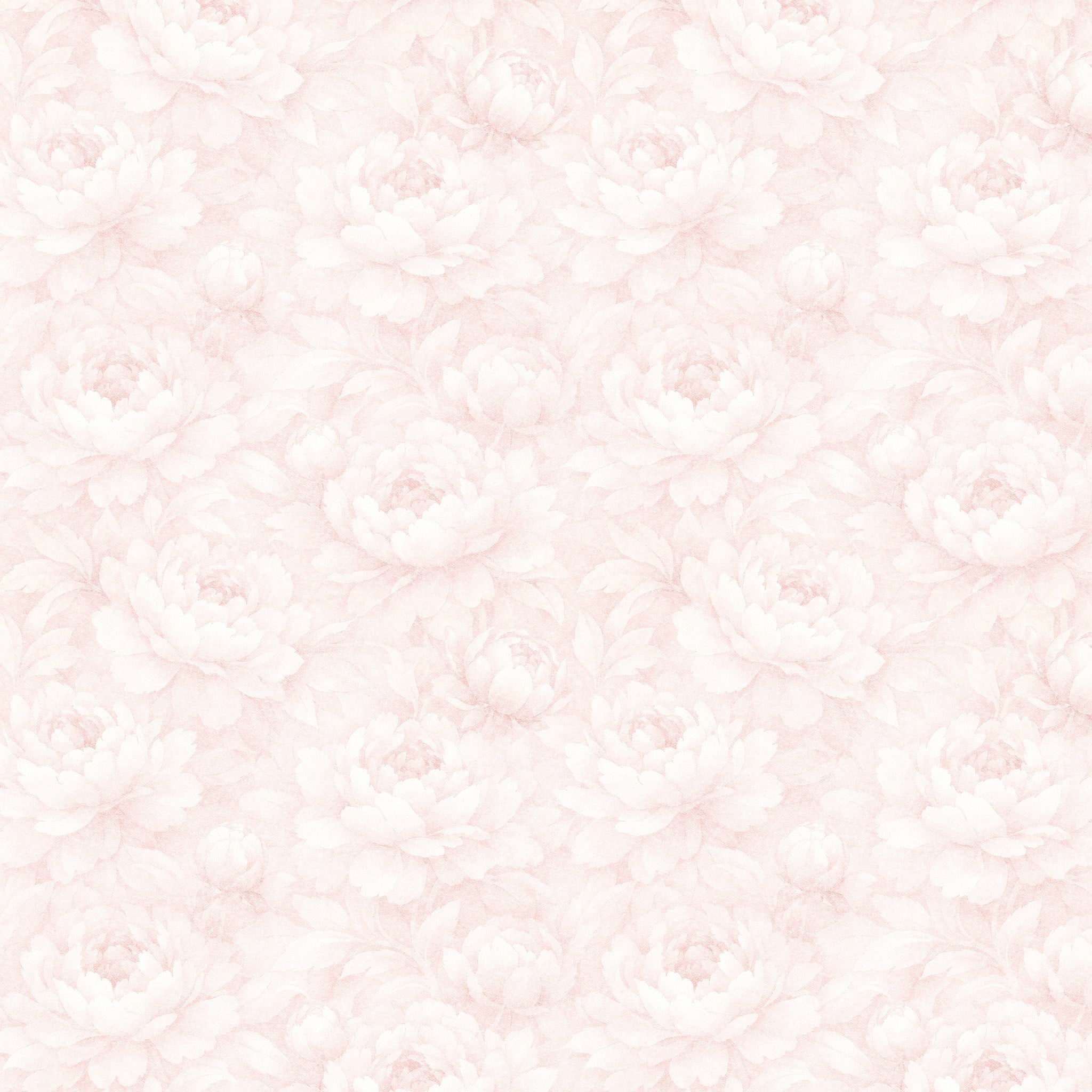 Peony Whisper Wallpaper
