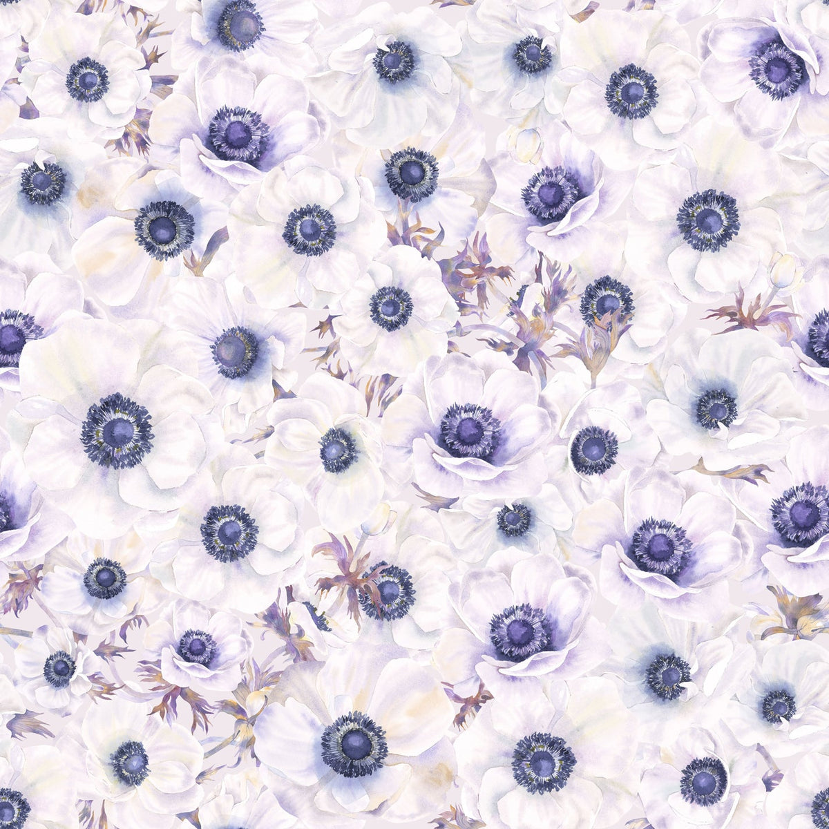 Fleur Blanche Wallpaper