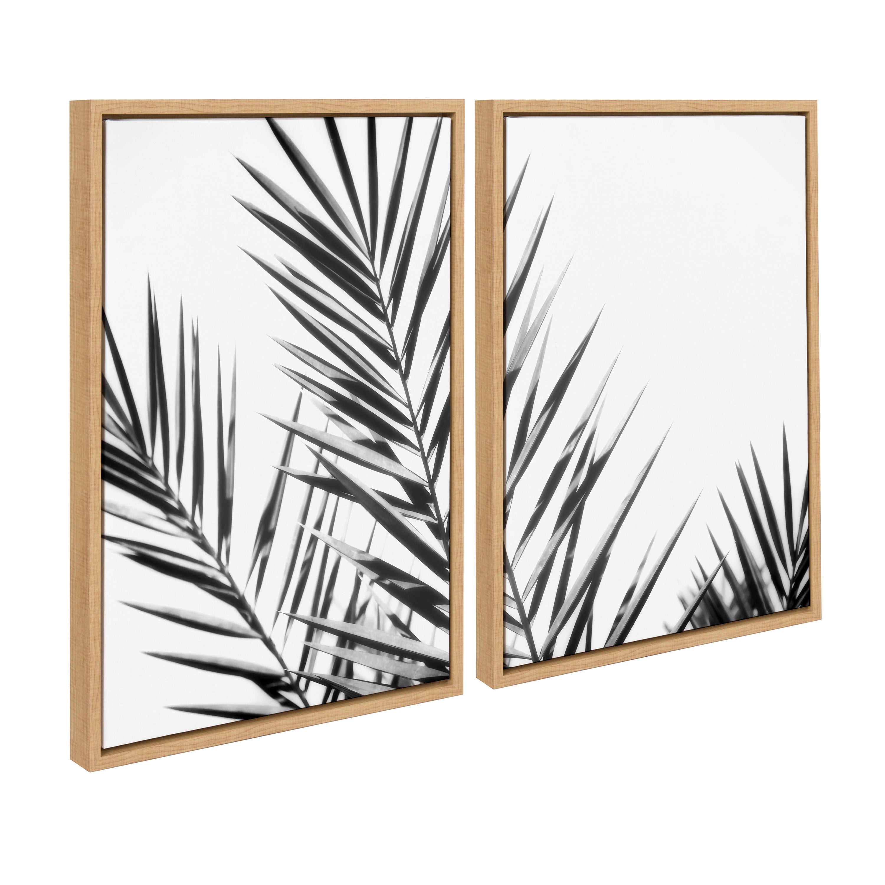 Sylvie Palm I and II BW Framed Canvas by Amy Lighthall
