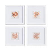 Branch Coral Petite Prints, Set Of 4