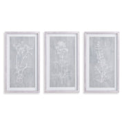 Sketched Botanical Prints, Set Of 3