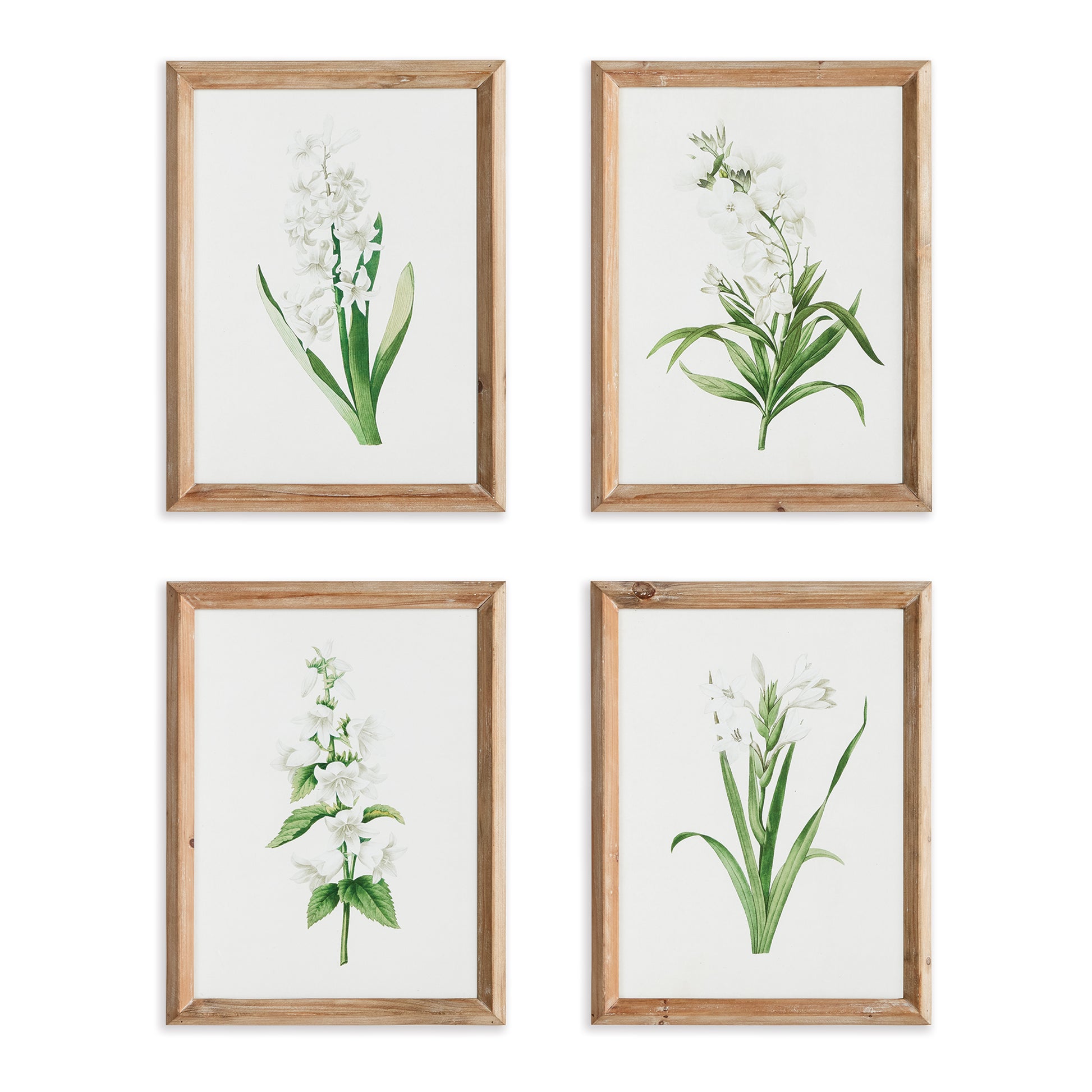 Garden Bloom Prints, Set Of 4