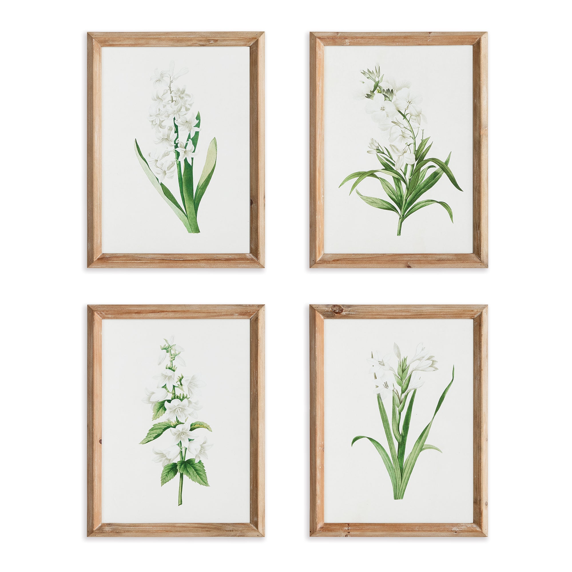 Garden Bloom Prints, Set Of 4