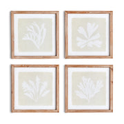 Seaweed Petite Prints, Set Of 4