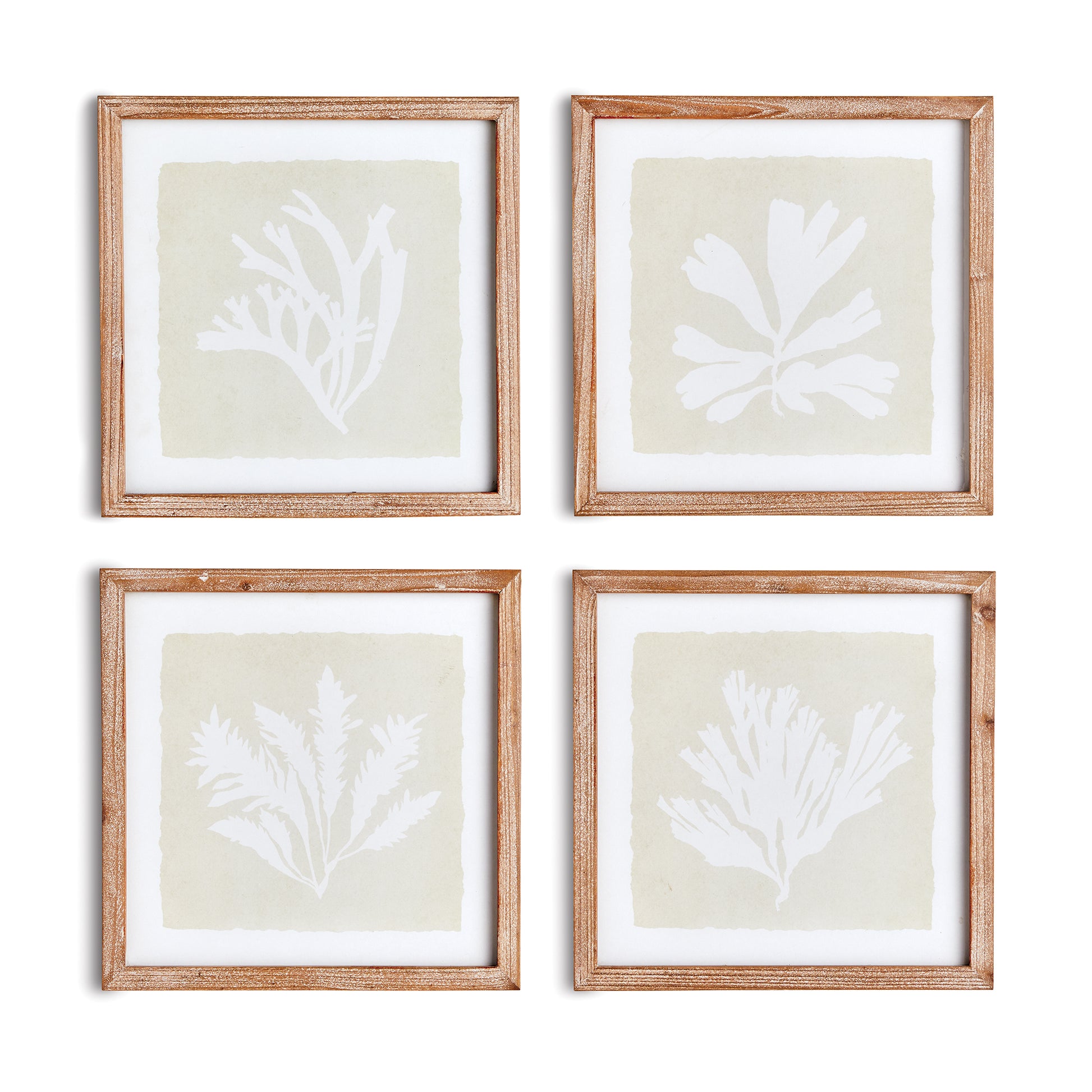 Seaweed Petite Prints, Set Of 4